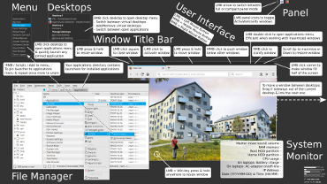 Window Management